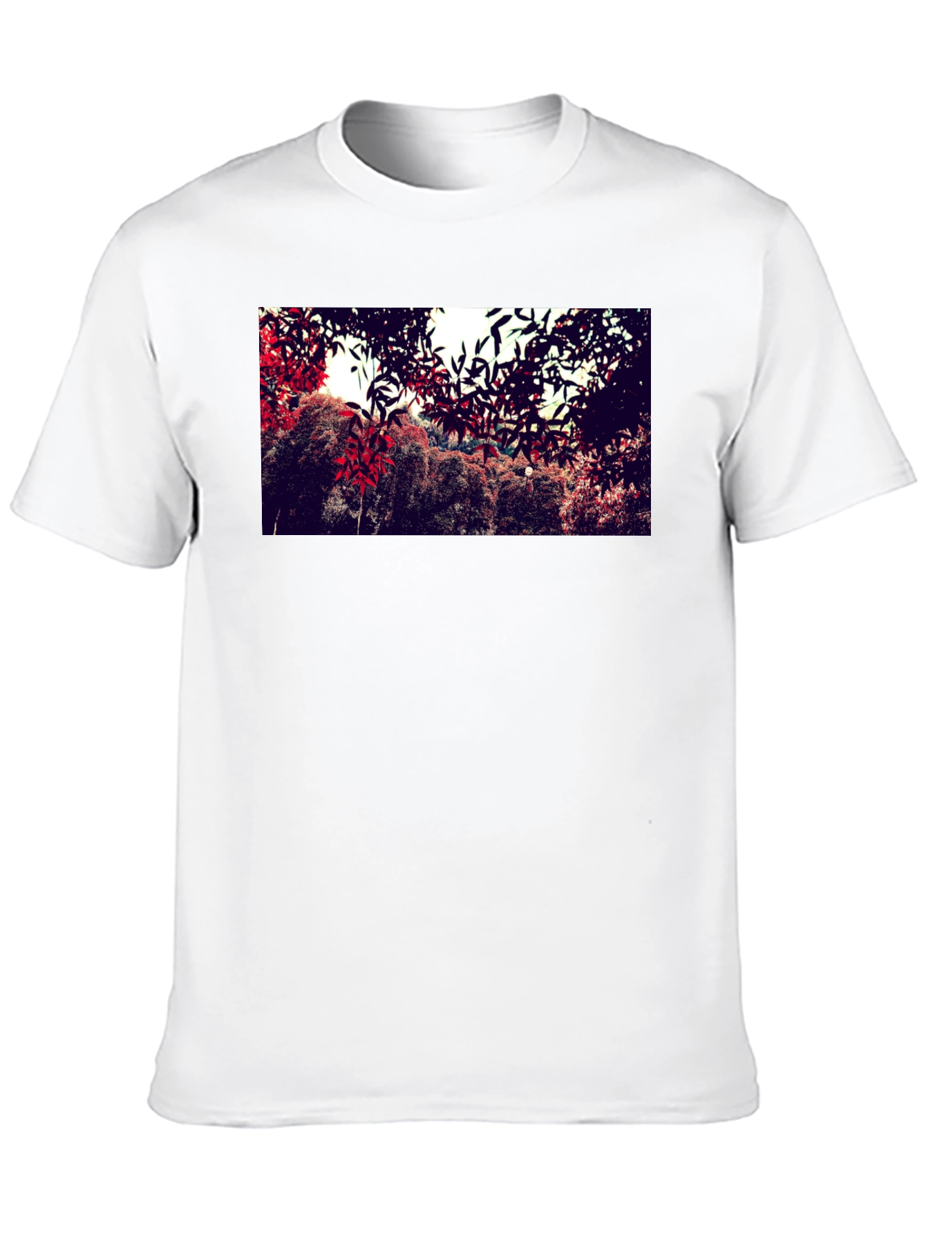Nature Print Black Cotton Crew Neck T-Shirt