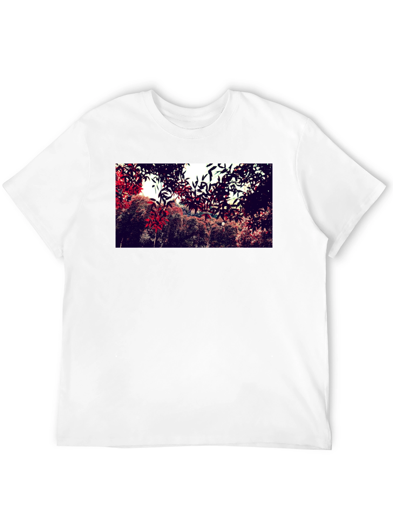 Nature Print Black Cotton Crew Neck T-Shirt