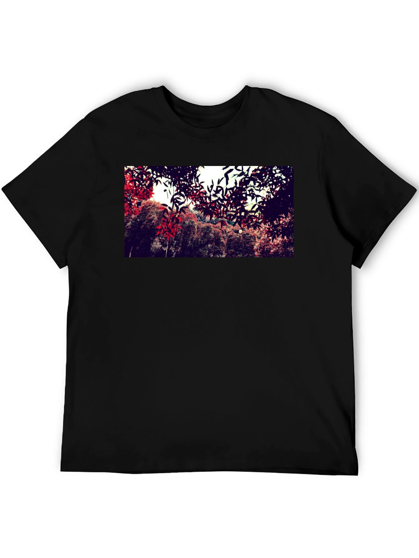 Nature Print Black Cotton Crew Neck T-Shirt