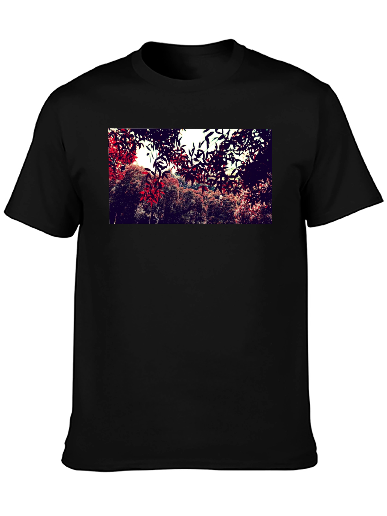 Nature Print Black Cotton Crew Neck T-Shirt