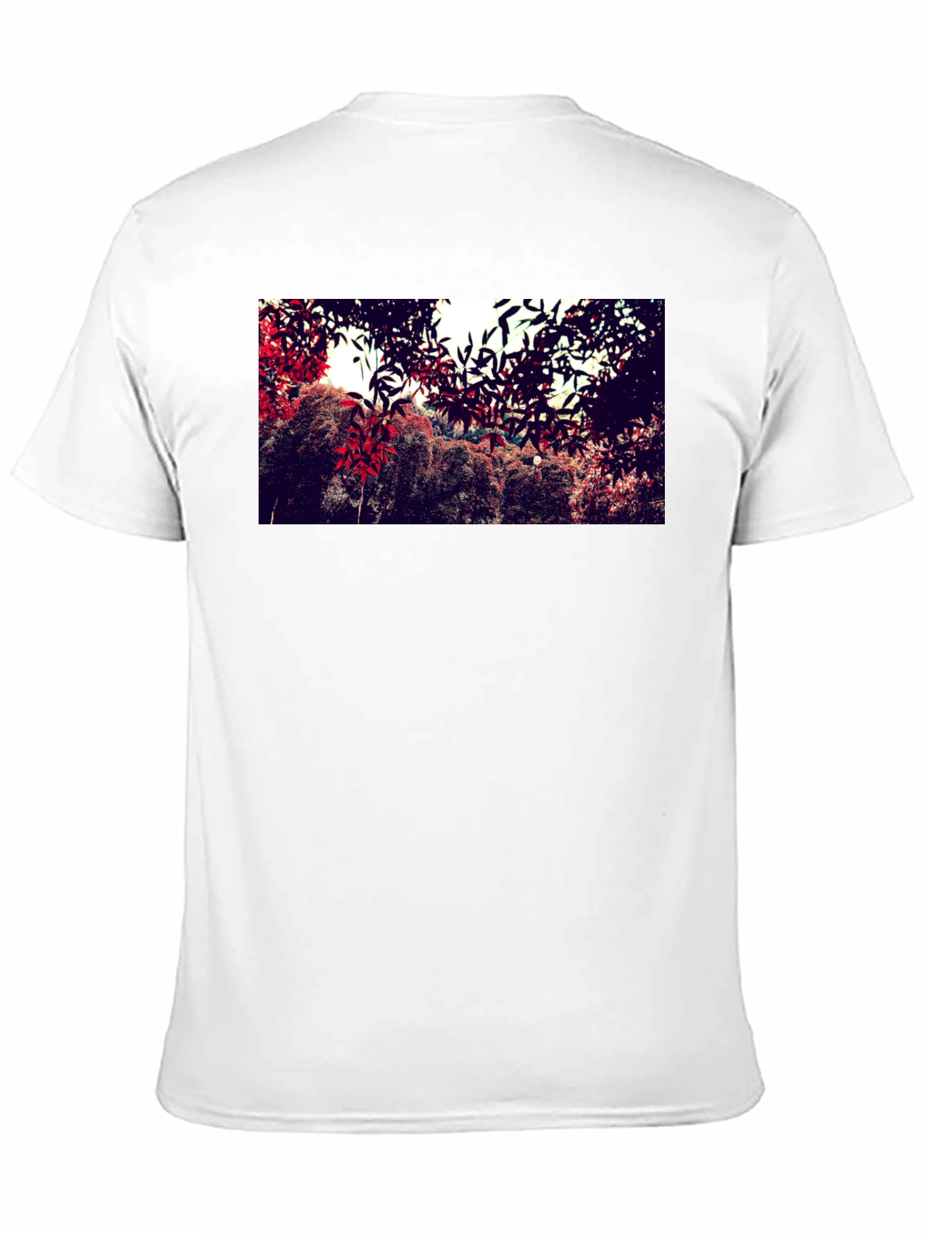 Nature Print Black Cotton Crew Neck T-Shirt