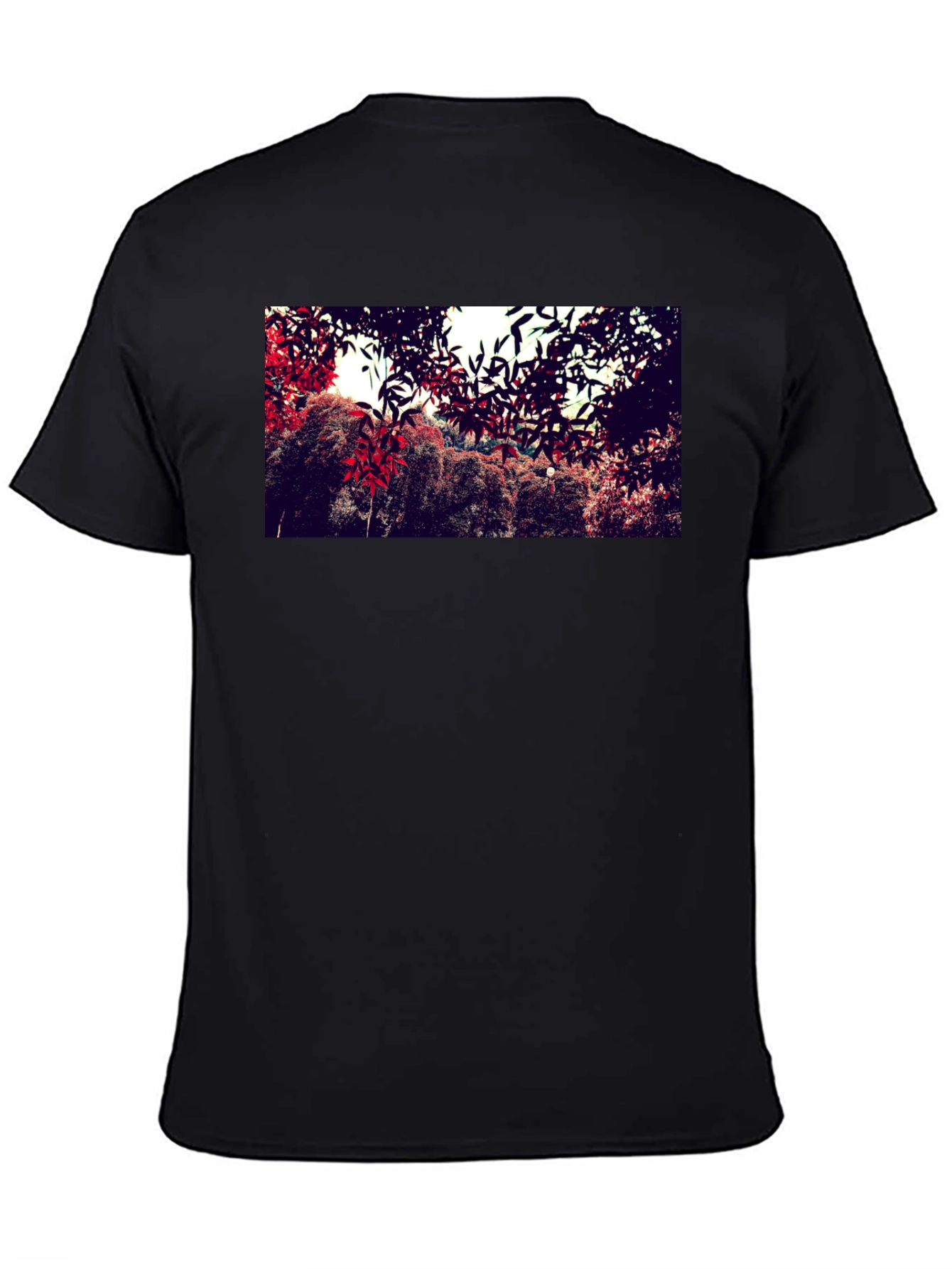 Nature Print Black Cotton Crew Neck T-Shirt